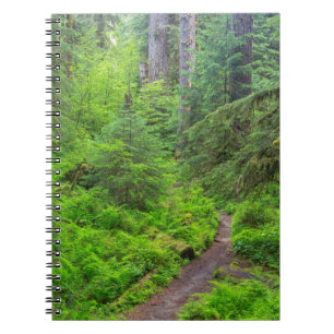 Carnet Parc national Olympique, sentier forestier