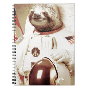 Carnet Paresse d'astronaute