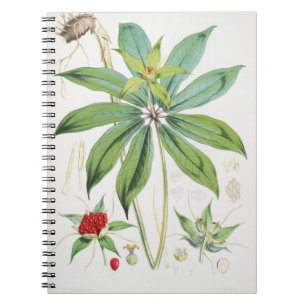 Carnet Paris Polyphylla Smith Flower Floral
