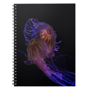 Carnet Partenaires de danse de méduse