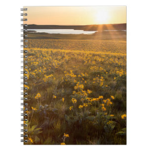 Carnet Parterre de fleurs sauvages de Balsamroot à feuill