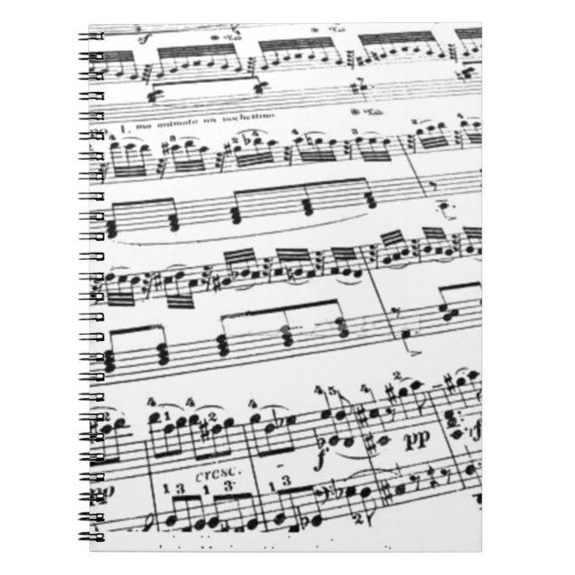 Carnet Partition musicale (Devant)