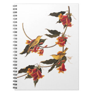 Carnet Paruline jaune Songbirds sur Flower Crossvine