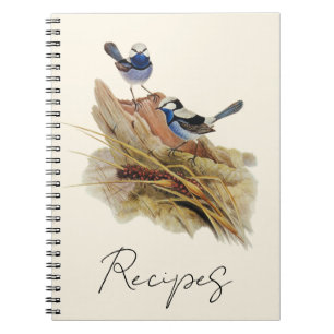 Carnet Paruline Turquoisine,