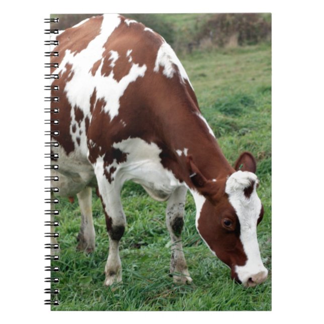 Carnet Pâturage rouge et blanc du Holstein (Devant)