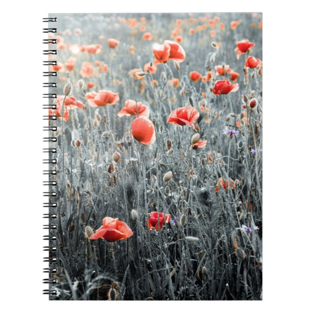 Carnet Pavot fleur sauvage (Devant)
