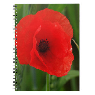 Carnet Pavot rouge