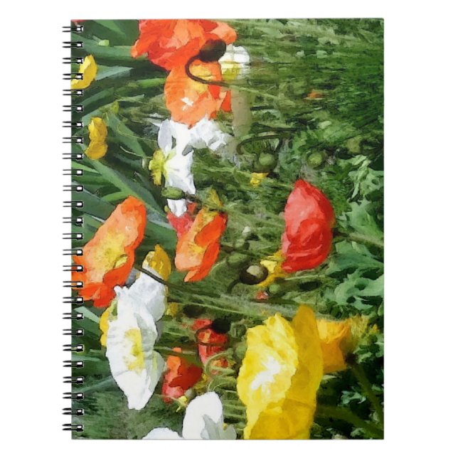 Carnet pavots peints (Devant)