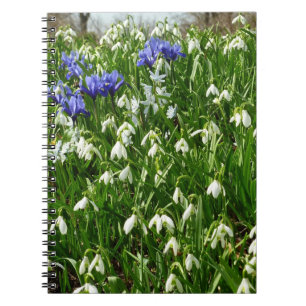 Carnet Paysage des fleurs du début du printemps
