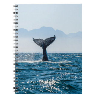 Carnet Paysage marin de la baleine : Eau Dramatique.