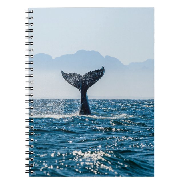 Carnet Paysage marin de la baleine : Eau Dramatique. (Devant)
