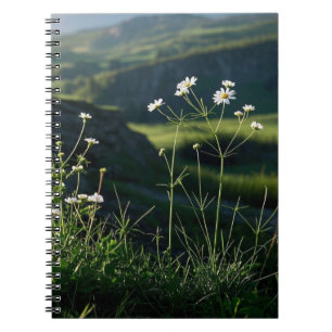 Carnet Paysage Naturel Fleur Blanche Marguerite