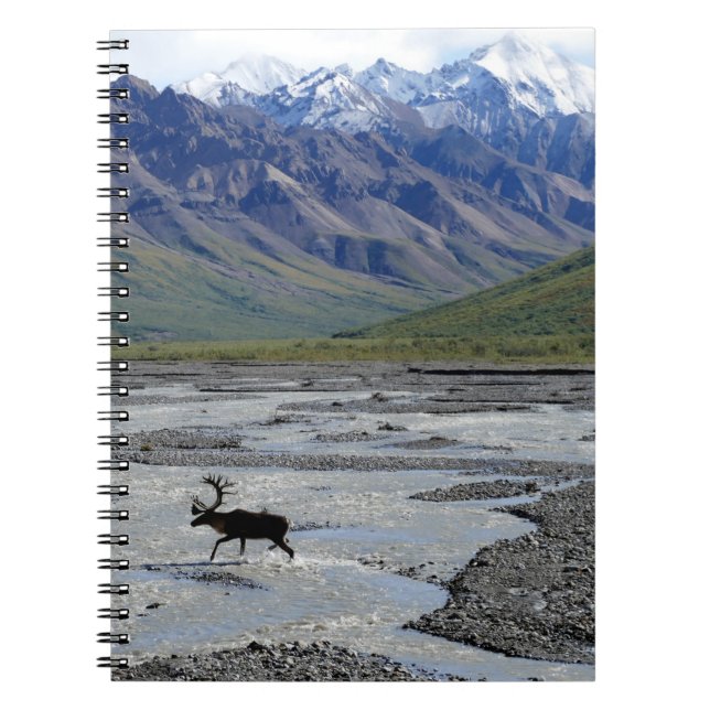 CARNET PAYSAGE PAISIBLE AVEC RÉINSERT (Devant)