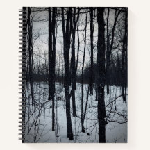 Carnet paysager noir et blanc spectaculaire