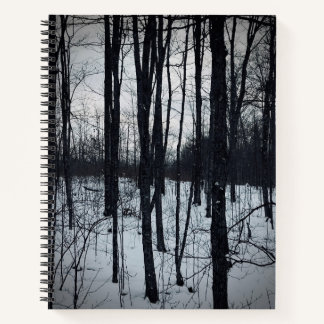Carnet paysager noir et blanc spectaculaire