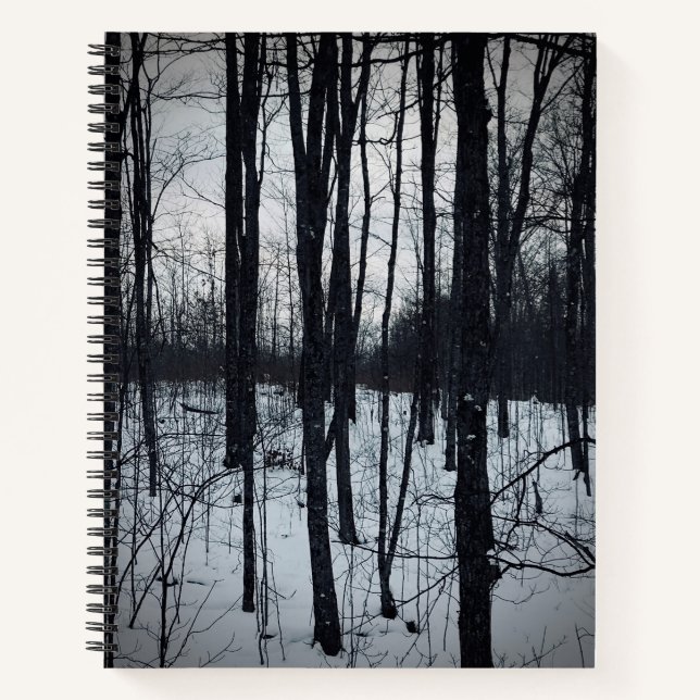 Carnet paysager noir et blanc spectaculaire (Devant)