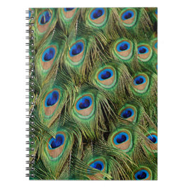 Carnet Peacock
