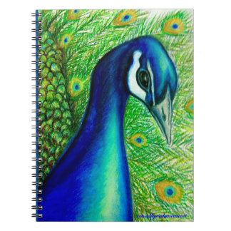 Carnet Peacock