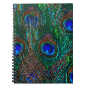 Carnet Peacock Coloré Plumes Etching Style