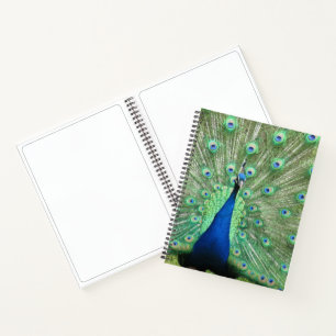 Carnet - Peacock Portrait