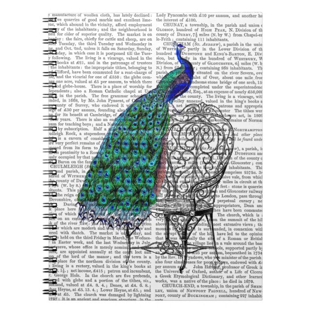 Carnet Peacock sur la chaise (Devant)