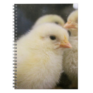 Carnet Peeps
