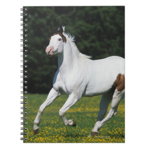 Carnet Peignez le cheval fonctionnant dans le domaine