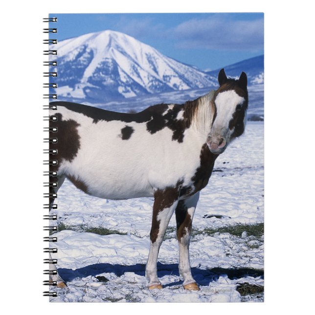 Carnet Peignez le cheval se tenant dans la neige (Devant)