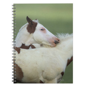 Carnet Peignez le jeu de poulains