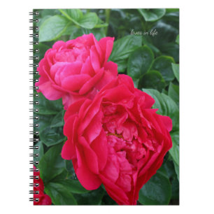 Carnet Peine rose rougeâtre