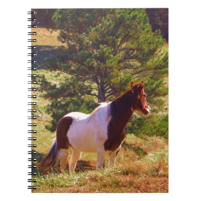 Carnet Peint Poney par le pin (Devant)