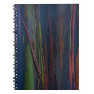 Carnet Peinture abstraite bleu vert et marron