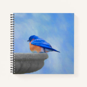 Carnet Peinture Bluebird - Art original pour oiseaux