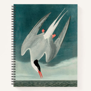 Carnet Peinture de la faune de la sterne de l'Arctique Au