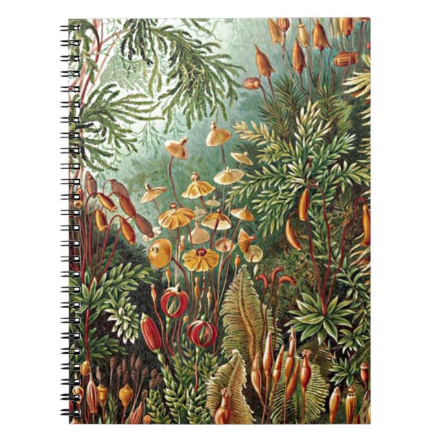 Carnet Peinture de la mousse de Haeckel, de l'herbe et de (Devant)