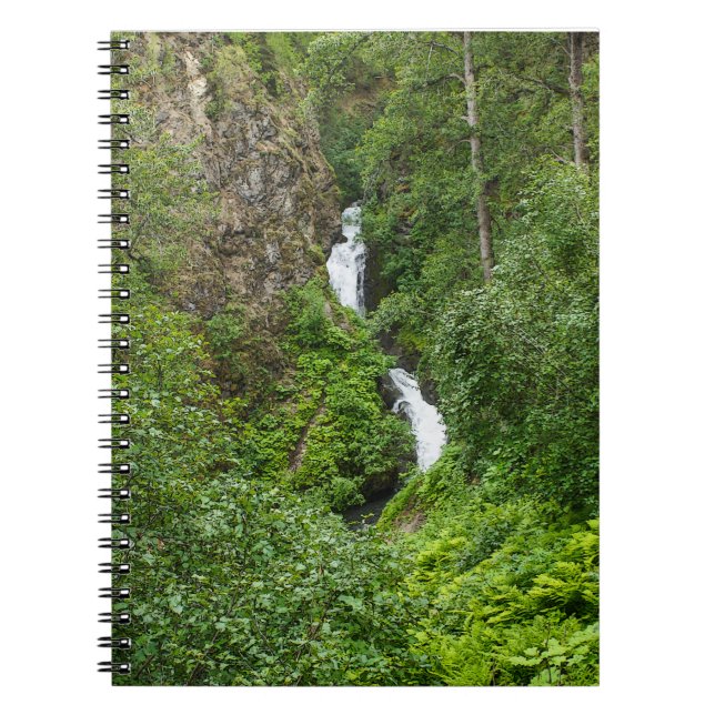 Carnet Peinture de Thunderbird (Devant)