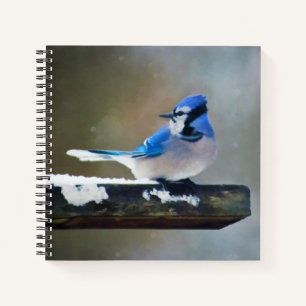 Carnet Peinture Jay Bleu - Art Oiseau Original