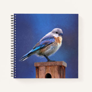Carnet Peinture pour oiseaux bleus (femelle) - Art origin