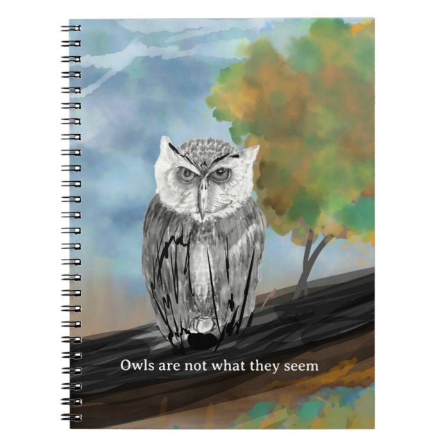 Carnet Peinture saisonnière de la Chouette dans la nature (Devant)