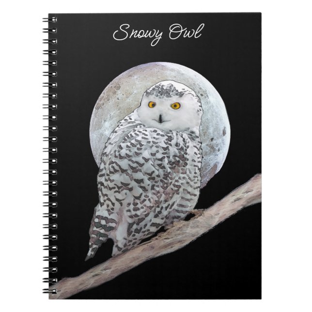 Carnet Peinture sur la Chouette neigeuse et la Lune - Art (Devant)