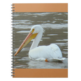 Carnet Pélican blanc B15 sur eau boueuse