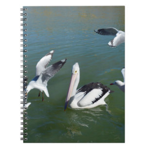 Carnet Pélican et les resquilleurs, 