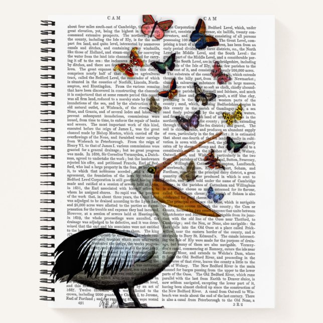 Carnet Pelican & Papillons (Devant)
