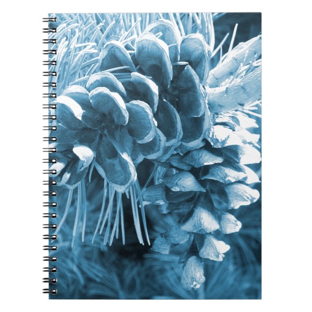 Carnet Pénecone bleu glacé primitif (Devant)