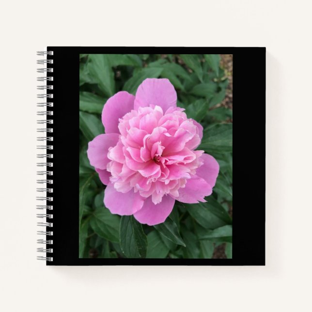 Carnet Peony rose (Devant)
