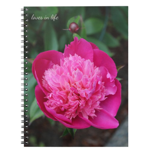 Carnet Peony rose et Baby Bud (Devant)