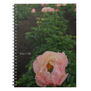 Carnet Peony rose indépendant