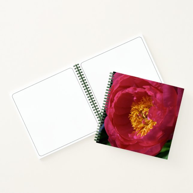 Carnet Peony ~ The Flowers Collection Sketchbook (Intérieur)