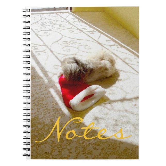 Carnet Père Noël capturé (Devant)