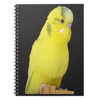 Carnet perruche jaune mignonne